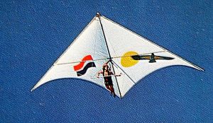 Art based on a photo by Leroy Grannis of Tom Peghiny flying a Bobcat hang glider