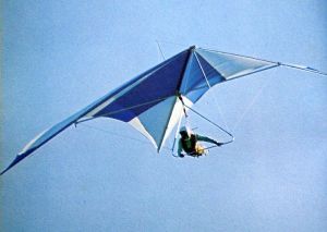 Standard Rogallo hang glider by Adrian Turner