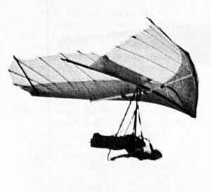 Seagull Sierra hang glider in flight in 1980 by Don Whitmore