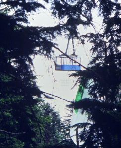 Hang glider wreckage in trees after mid-air collision between John Duffy and Ian Huss at Grouse Mountain in 1984. Photo by Jan Kulhavy.