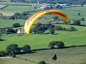 Firebird paraglider flying in 2015