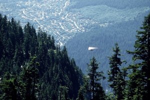 Hang glider flying over forested mountainside and Vancouver suburbs