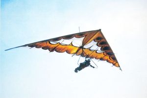Rogallo wing hang glider of the mid-1970s