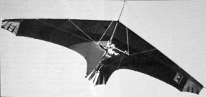 Flexiform Sealander hang glider