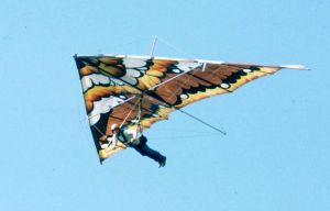 Hang glider with painted sail at Grandfather Mountain in September 1975